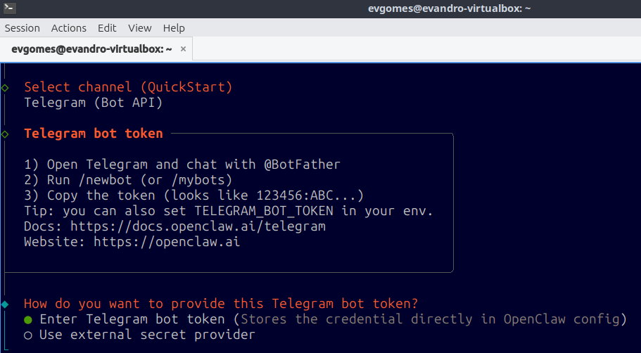 Cole aqui o token gerado pelo BotFather no Passo 1. O assistente também exibe um lembrete dos passos necessários caso você ainda não tenha criado o bot.