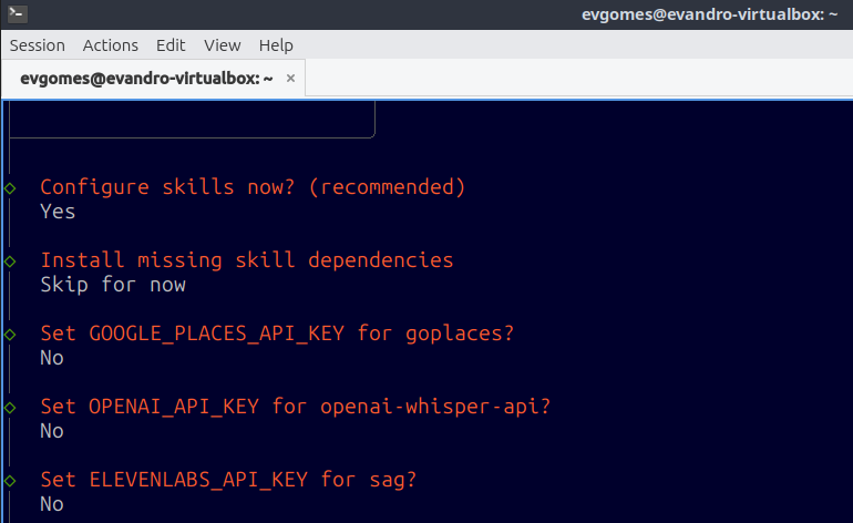Cada skill que requer uma chave de API pergunta se você deseja configurá-la agora. Todas podem ser configuradas posteriormente editando o arquivo de configuração do OpenClaw.